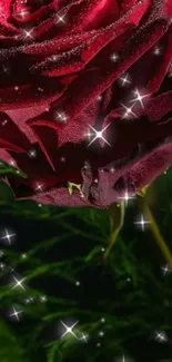 Close-up of a sparkling red rose with a starry effect on a mobile wallpaper.