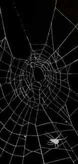 Intricate spider web design on a dark background for mobile wallpaper.