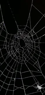 Intricate spider web on a black background wallpaper.