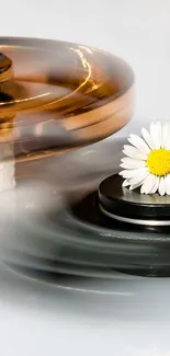 Elegant spinning daisies on artistic background.