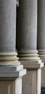 Elegant gray stone pillars with classic architectural design.