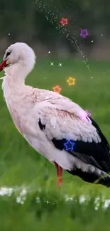 Elegant stork in a green meadow with colorful star accents.