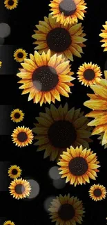 Sunflower mobile wallpaper with yellow blooms on black background.