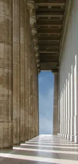 Sunlit ancient columns capturing architectural elegance.