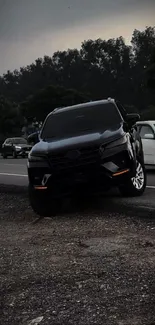 Dark SUV parked on a rustic roadside under a cloudy sky.