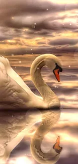 Elegant swan gliding on a lake with a stunning sunset reflection in golden hues.