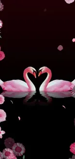 Pink swans surrounded by flowers on a black background.