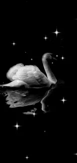 Swan gliding on a starry black background.