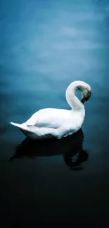 A serene white swan floating on calm dark blue waters.