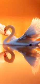 Elegant swan gliding on a serene golden lake.