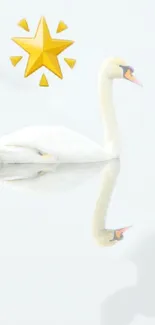 Swan with reflection and star on a white background.