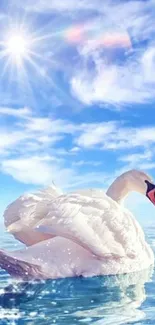 Swan gliding under a sunny sky with reflections on water.