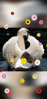 Swan on water with colorful flowers, ideal for mobile wallpaper.