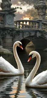 Two swans swimming under a stone bridge at sunset.