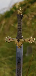 Elegant sword with ornate design stands in a blurred grassy field background.