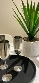 Green plant and flutes on a white table.