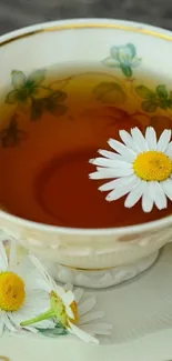 Elegant tea cup with daisies floating inside.