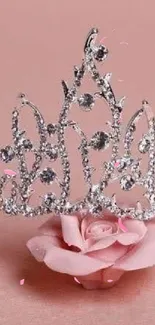 Sparkling tiara with a pink rose background.