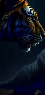 A majestic tiger in dark blue shadows elegantly poised.