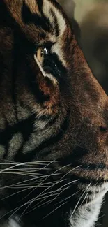 Close-up of a tiger's profile with detailed textures and warm colors.