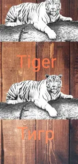 Tiger resting on wooden background in wallpaper.