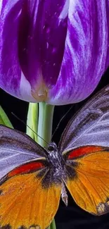 Vibrant wallpaper with orange butterfly and purple tulip.