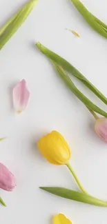 Minimalist design with yellow and pink tulips on white background.