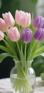 A bouquet of pink and purple tulips in a clear vase.
