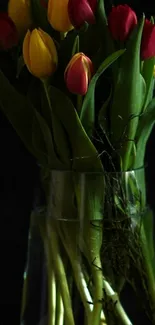 Red and yellow tulips in a dark-themed elegant bouquet for phone wallpaper.