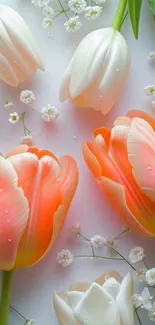 Orange and white tulips with delicate white flowers on a serene background.