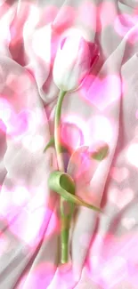 White tulip on pink heart-accented background.