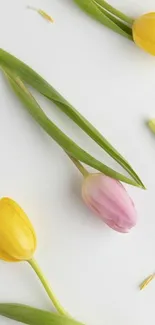 Elegant mobile wallpaper with pink and yellow tulips on white background.