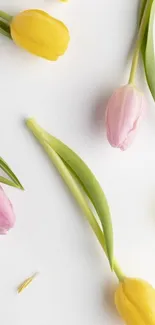 Elegant mobile wallpaper with pink and yellow tulips on a white background.