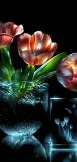 Elegant tulip vase with dark background.