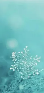 A detailed snowflake on a turquoise textured background.