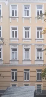 Elegant urban apartment building with trees and classic windows.