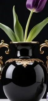 Black vase with golden handles and purple tulip.