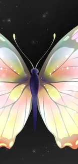 Vibrant butterfly with pastel wings against a black starry background.