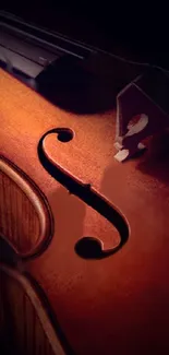 Close-up of an elegant violin with rich brown tones suitable for mobile wallpaper.