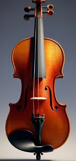 Polished violin on a gradient background.