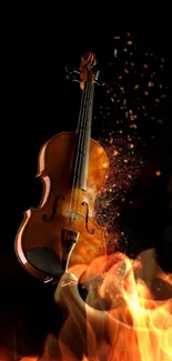 Elegant violin with sparkles on black background wallpaper.