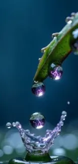 Water droplet splashing from leaf with vibrant reflections.
