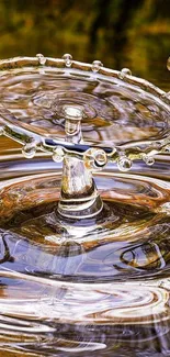 Captivating water drop splash with golden reflections in a close-up view.