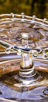 Elegant water droplet art with ripples and reflections, featuring a golden hue.