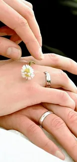 Hands with wedding rings and a small flower.