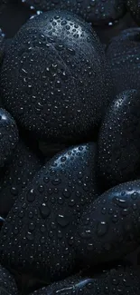 Wet black stones close-up wallpaper design.