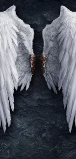 White angel wings on a dark textured background.