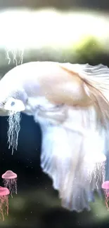 White Betta fish swimming in a serene, blurred aquatic setting.