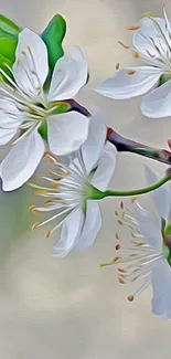 Elegant white blossoms with green leaves on a soft background.