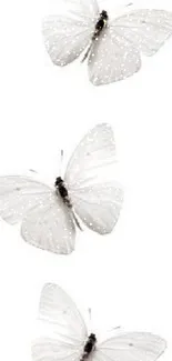 Elegant white butterflies on a minimalist background, perfect for mobile wallpaper.